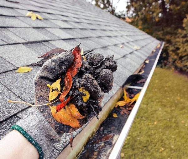 professional cleaning our gutter in gloves and holding dirt