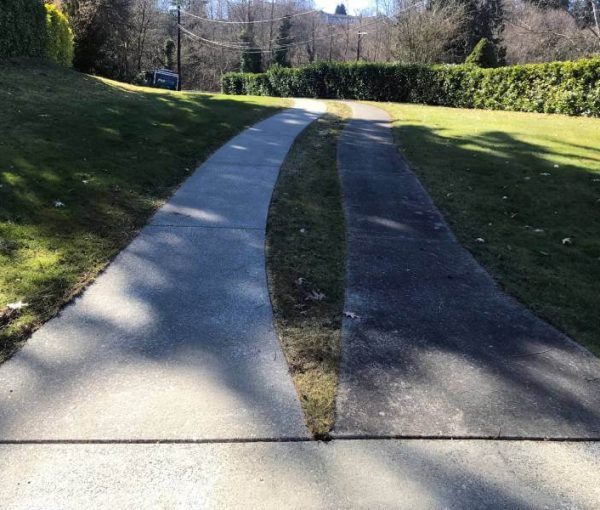 walk path before and after pressure cleaning