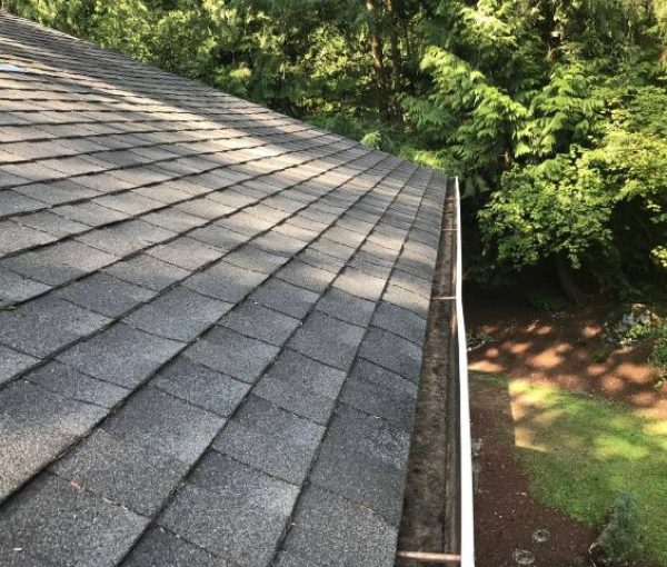 roof-cleaning-seattle-wa-bellevue-after (2) gutter after cleaning